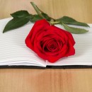 © Laboko | Dreamstime.com - Book With A Red Rose Photo