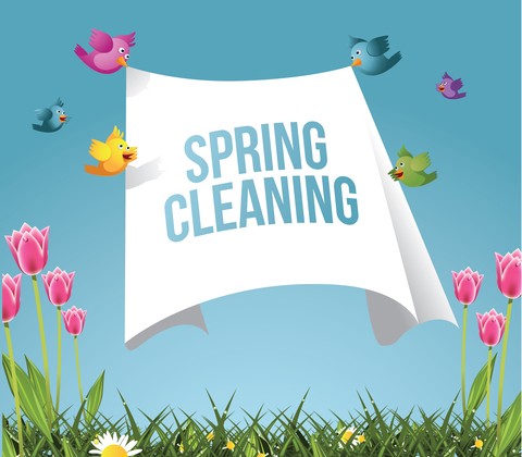 © Shelma1 | Dreamstime.com - Cartoon Birds Flying With Spring Cleaning Message Photo