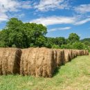 Farmland - Tax Developments for Farmers
