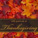 Gratitude on this Thanksgiving