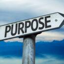 High-Purpose Cultures Small Businesses