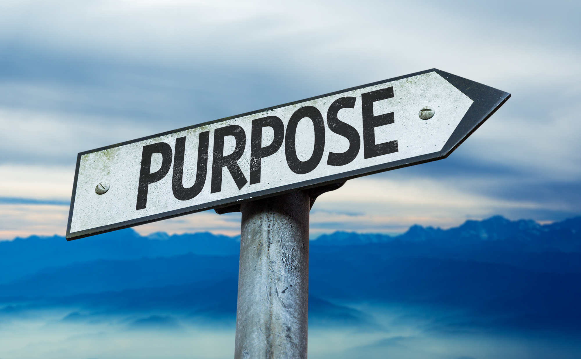 High-Purpose Cultures Small Businesses