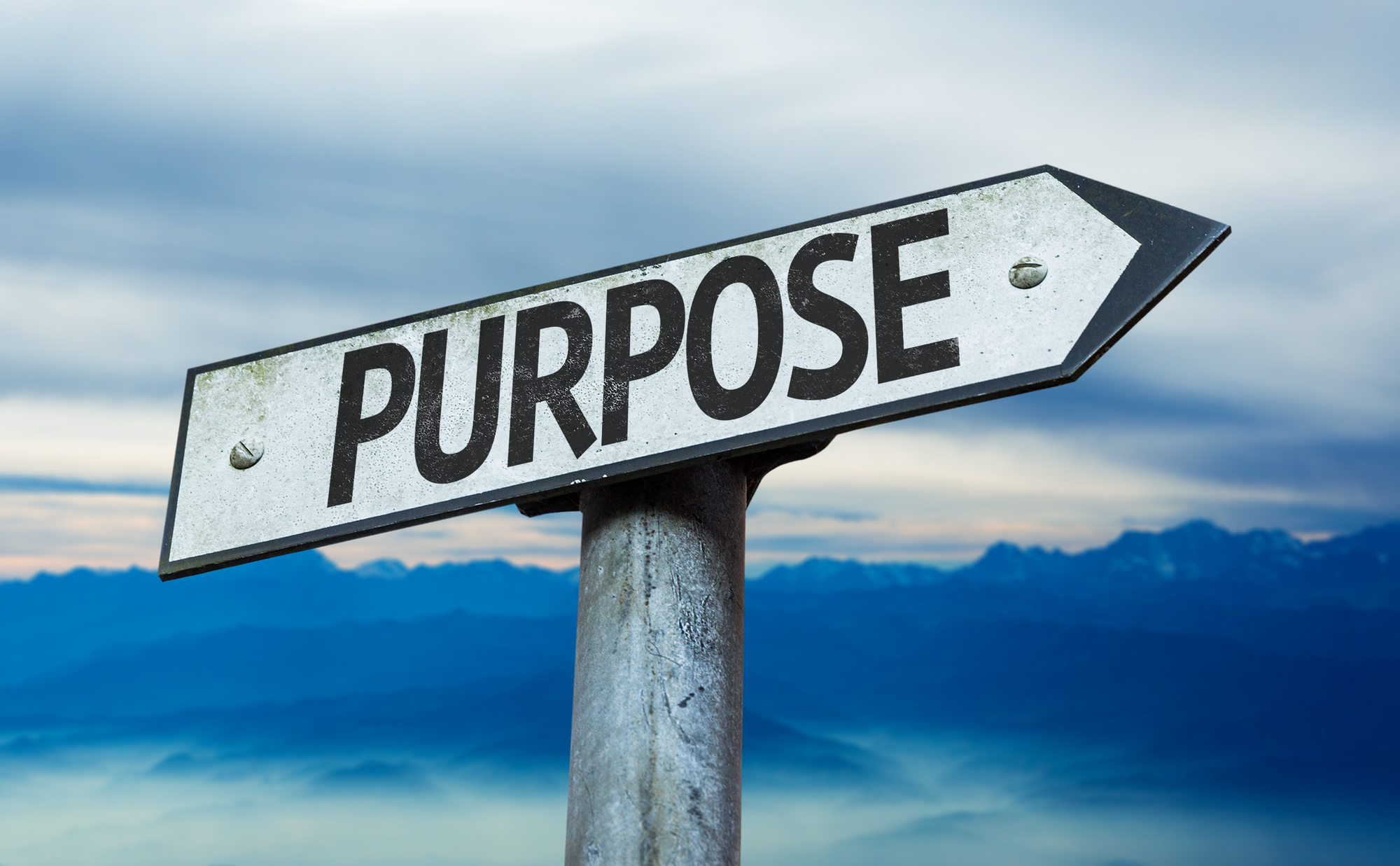 robert-byrne-the-purpose-of-life-is-a-life-of-purpose