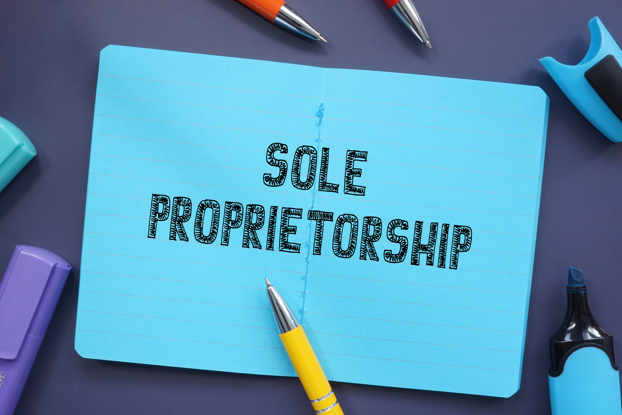 Sole Proprietorship: The Numbers Are Up