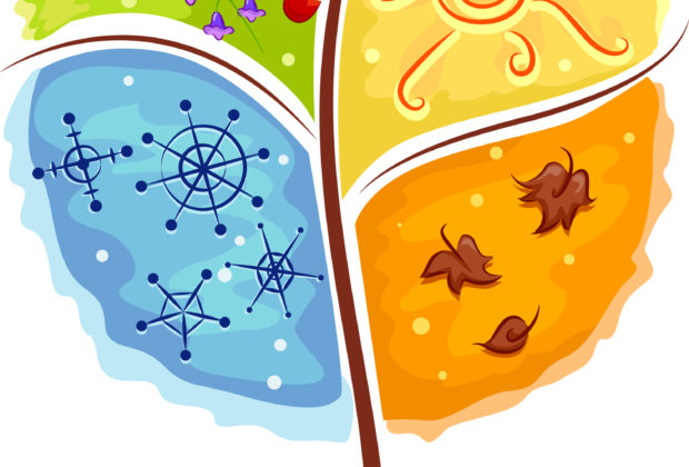 Seasonality for Your Business