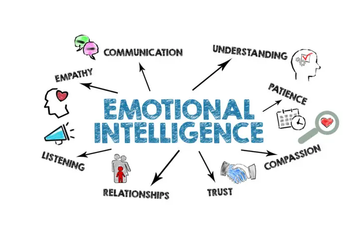 6 Best Emotional Intelligence Books for Leadership Success